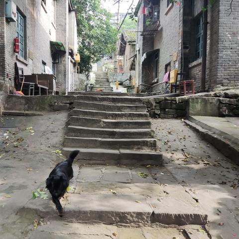 宁波市江北区有什么工厂