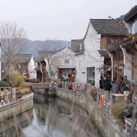 宁波市住哪个区