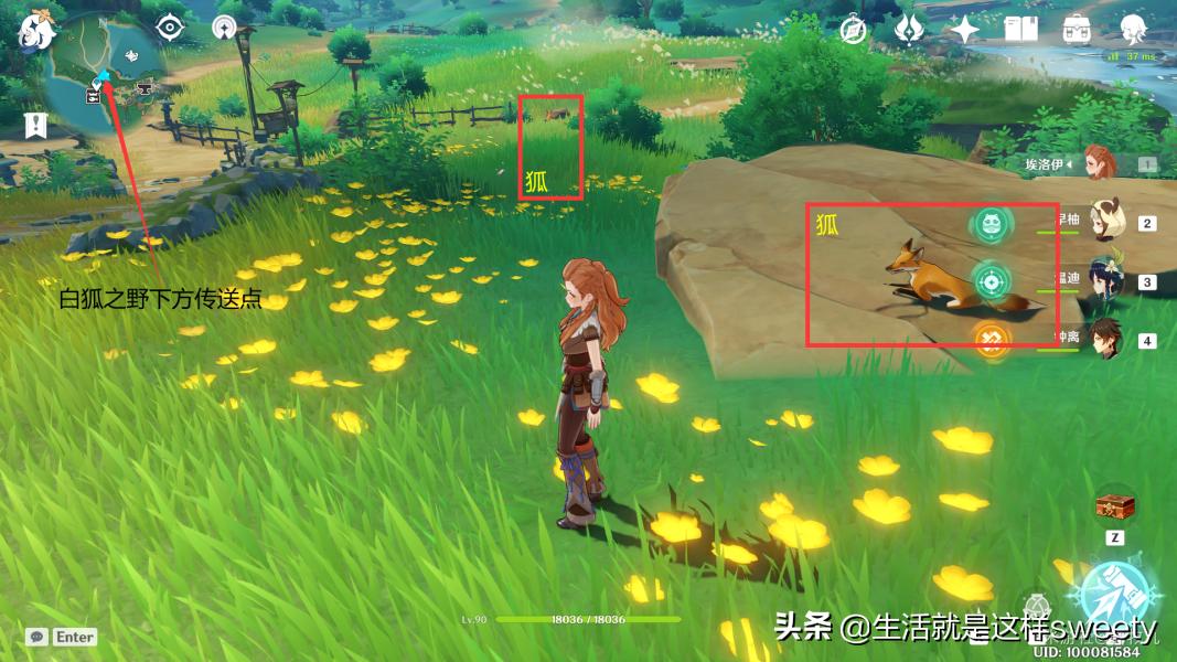 原神怎么让动物跟着你（原神黄金蟹去哪里找）