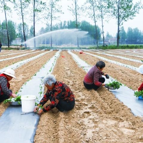 河南省四月的情况怎么样