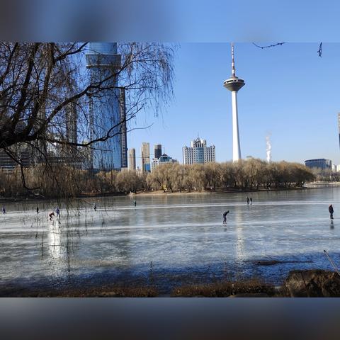 沈阳市最大公园是哪个区