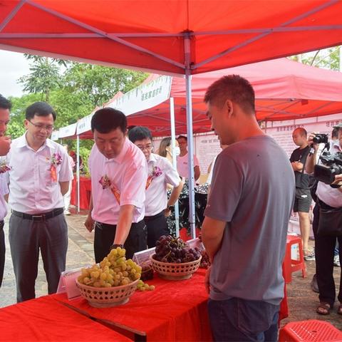 2022线城市桂林相关长尾关键词有哪些