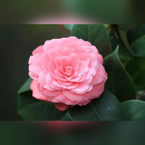 温州市晨光文具书店在哪里