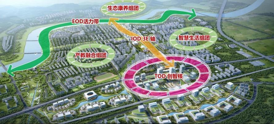 2025年985大学最新排行：领跑中国高等教育新纪元