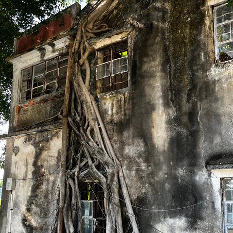 泉州市邱氏人口有多少人