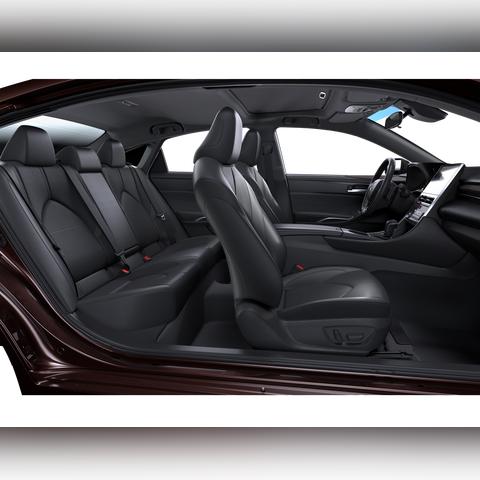 福建哪个海边有椰树