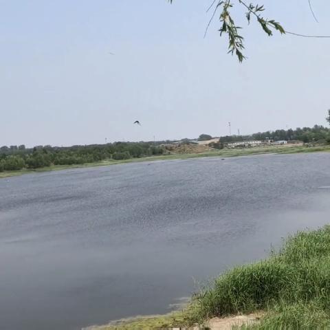 沈阳市星戈物业怎么样啊