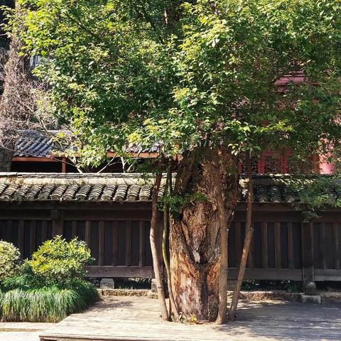 杭州市北高峰是什么样的
