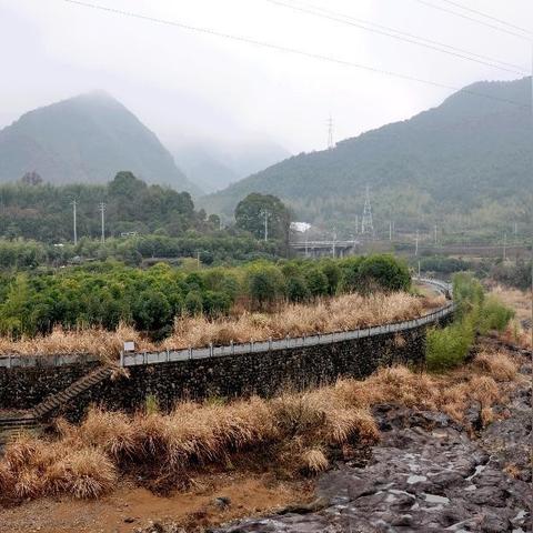 桐庐县到杭州市坐什么