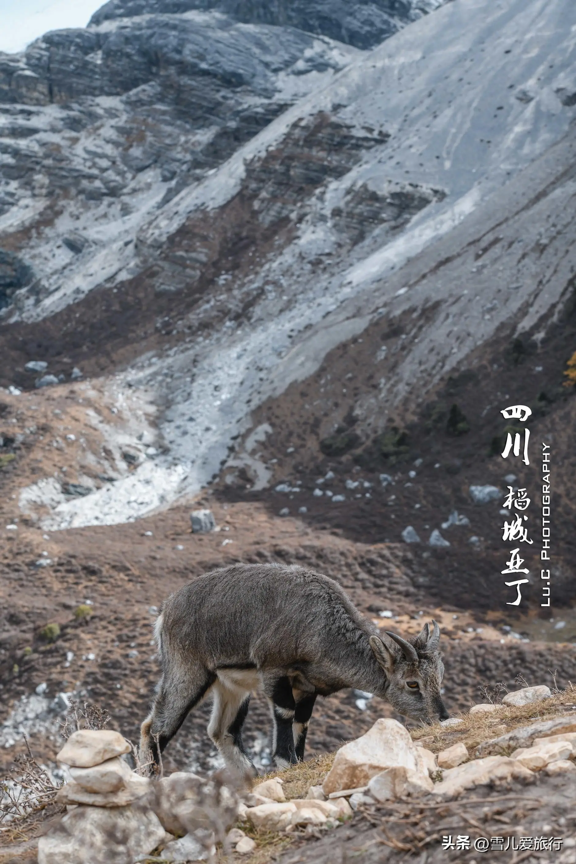 稻城亚丁景区攻略：探访藏区神秘世界