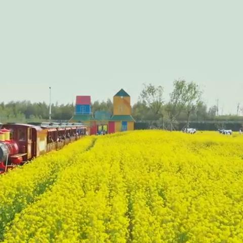 临沂市有名的村庄是哪个