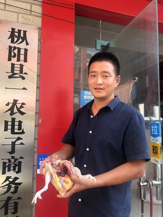退役军人返乡创业养土鸡，勇当致富带头人