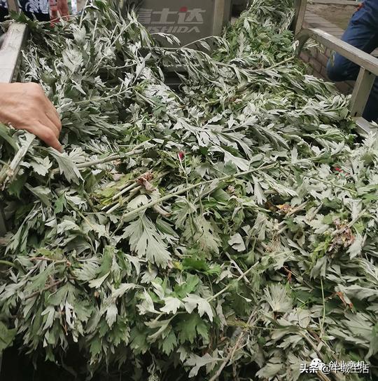 端午节冷门生意，两个小时可净赚400元