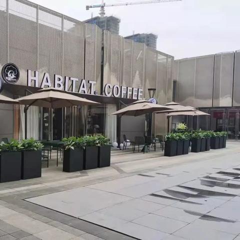 南通市绿城桂语朝阳怎么样