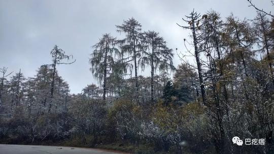 草科乡，又一赏红叶泡温泉的冷门点，还可以穿越贡嘎