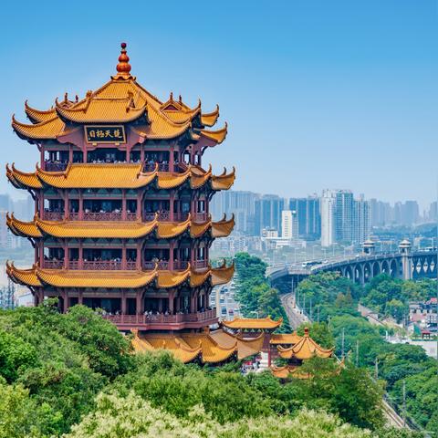 什么叫大武汉市