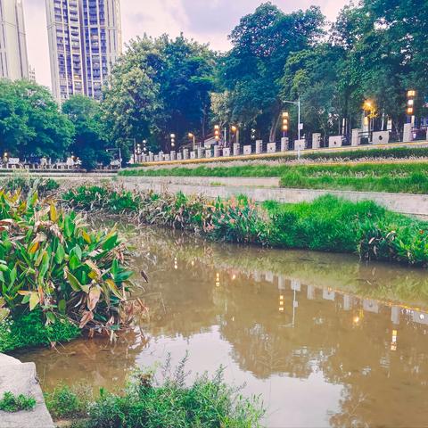 东莞市第一工业区在哪里