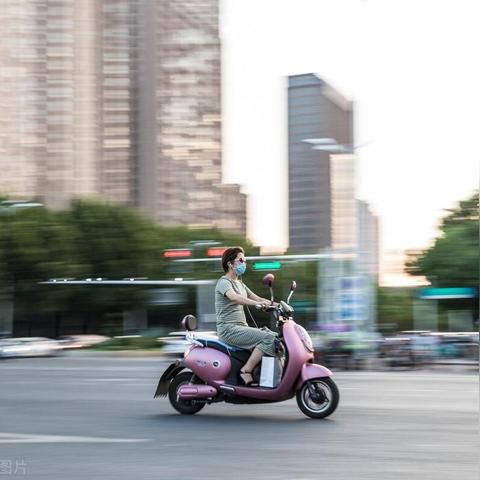 广州市有多少人养狗