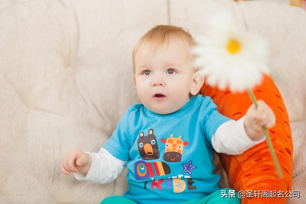 女虎宝宝怎么起名字(你听过哪些可爱到炸的句子)