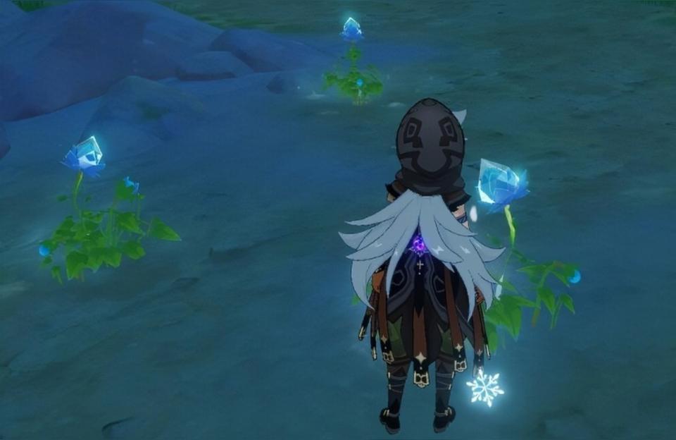 原神的冰雾花花朵怎么收集（原神冰雾花怎么采）