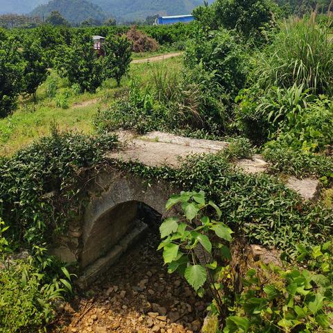 桂林市到灵川灵田怎么走