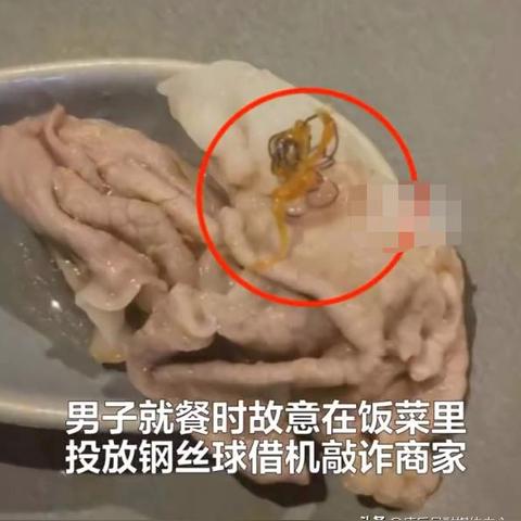 上海本土蟑螂有哪些
