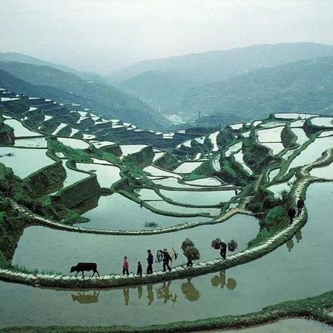 沈阳繁华城市图片相关长尾关键词有哪些