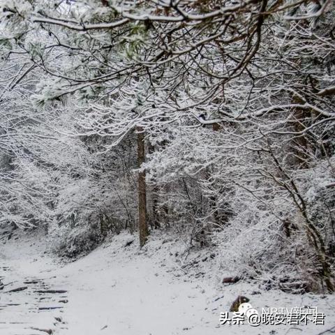 宁波市今天什么时候下雪