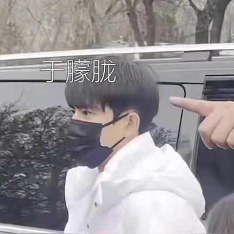 生肖牛虎年桃花运势(生肖牛虎年桃花运势如何)