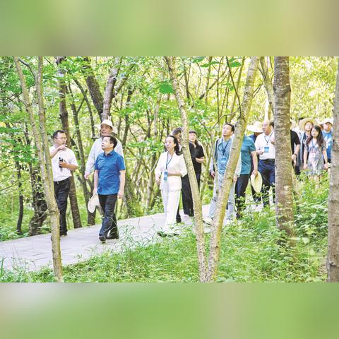 商州到山阳漫川低速多少公里/？