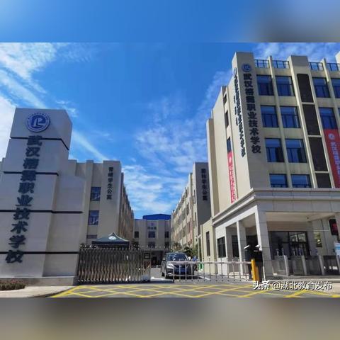 武汉市孩子上什么学校