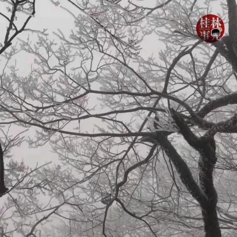 广西桂林市哪里下雪