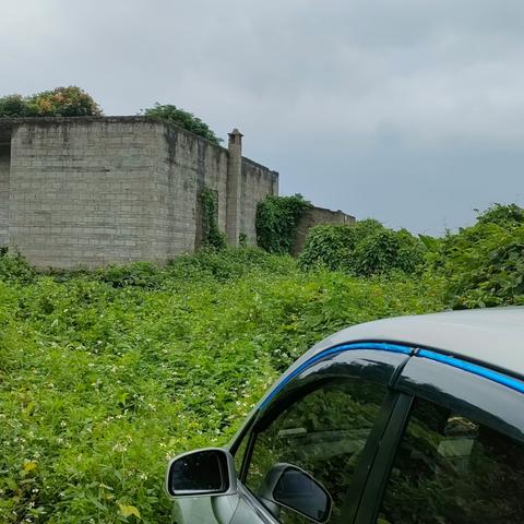 广州市有什么果园