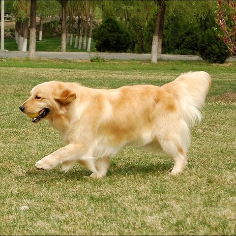 长沙男性绝育相关长尾关键词有哪些