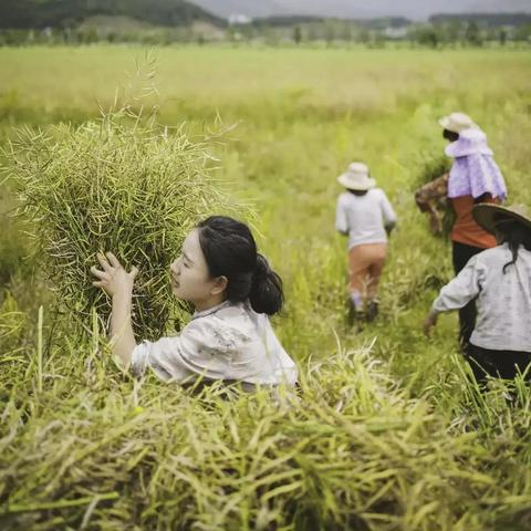 福建女人怎么样 知乎