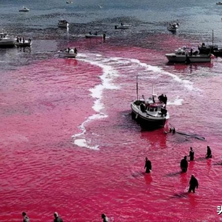 福建话发电是什么意思