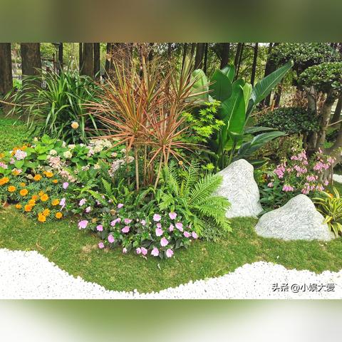 广州市近期有什么花展