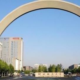 保定市哪里买电动平衡车