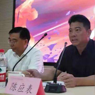 足球体育怎么运营