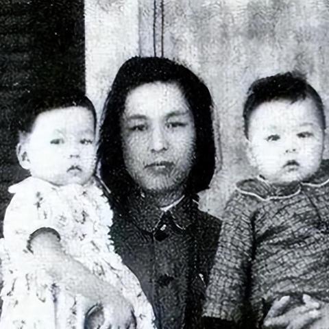 流浪狗在无锡市哪里买的