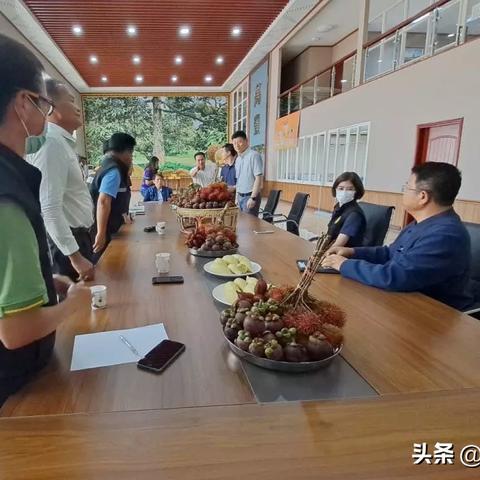 福建泰国空运的相关长尾关键词有哪些