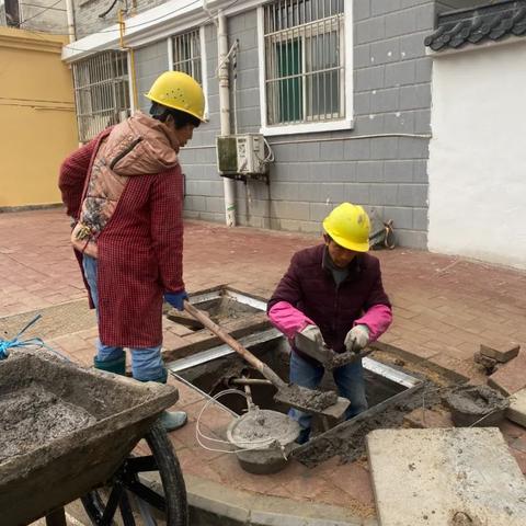 合肥市包河苑属于哪个区