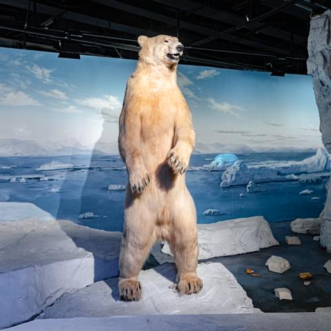 武汉哪家医院可以做亲子鉴定的相关长尾关键词有哪些