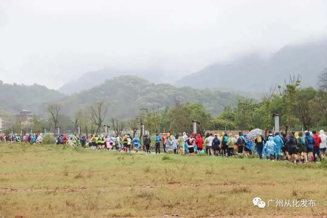 广东推荐的seo优化 广东长沙seo优化