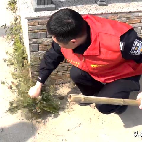 温州市洗衣液捐赠的长尾关键词有哪些