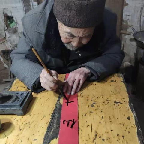 临沂市哪里有买小狗的