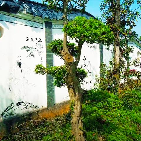 武汉市常年吹什么风最多