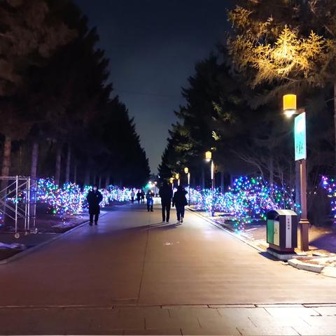 长春南湖艺术高中怎么样？
