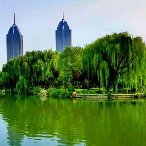 潍坊市市人口有多少钱