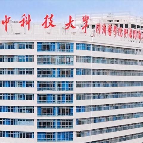 武汉市有什么直属单位